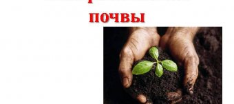 Soil Sanitary Microbiology